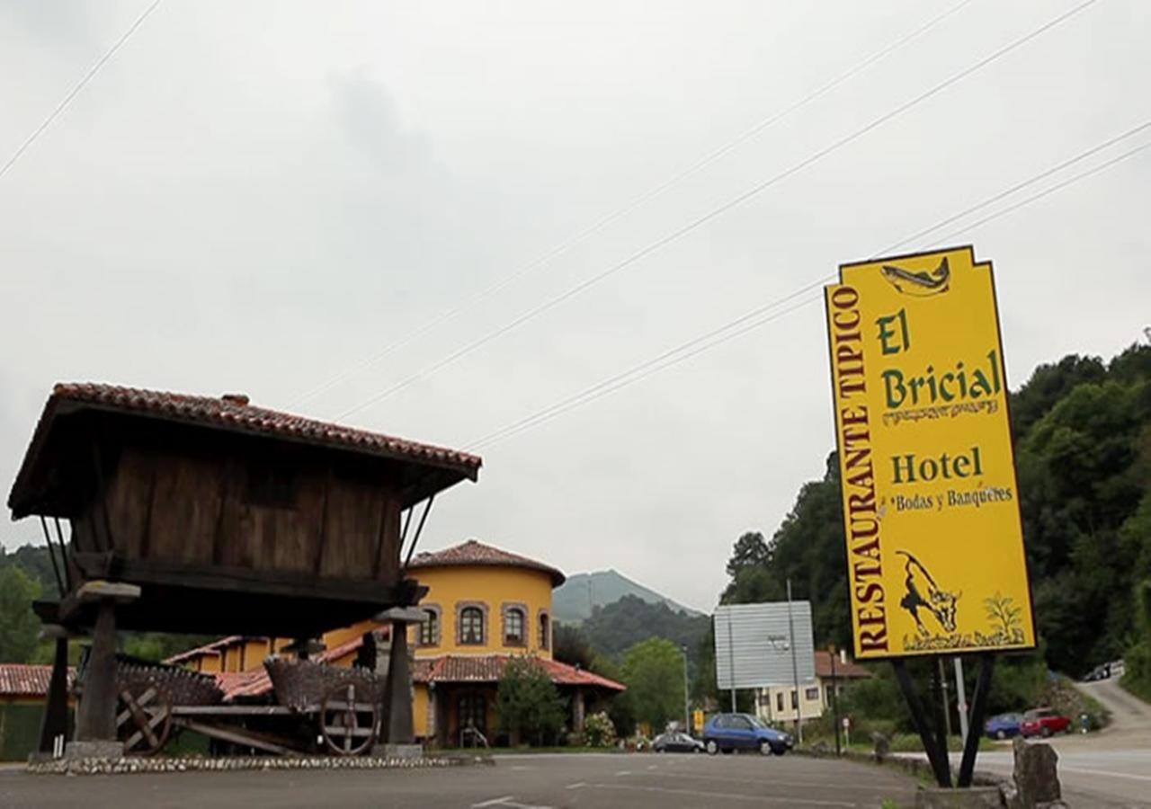 Hotel El Bricial Soto De Cangas Bagian luar foto